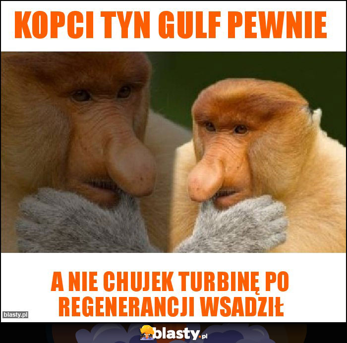 Kopci tyn Gulf pewnie Kopci tyn Gulf pewnie