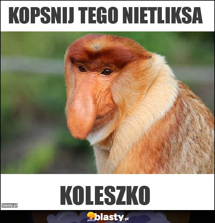 Kopsnij tego nietliksa Kopsnij tego nietliksa