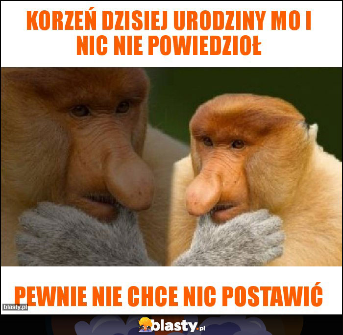 Korzeń dzisiej urodziny mo i nic nie powiedzioł Korzeń dzisiej urodziny mo i nic nie powiedzioł
