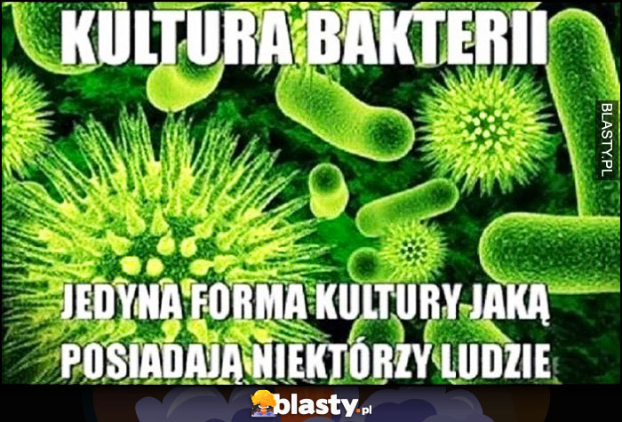 Kultura bakterii jedyna forma kultury jaką posiadają niektórzy ludzie