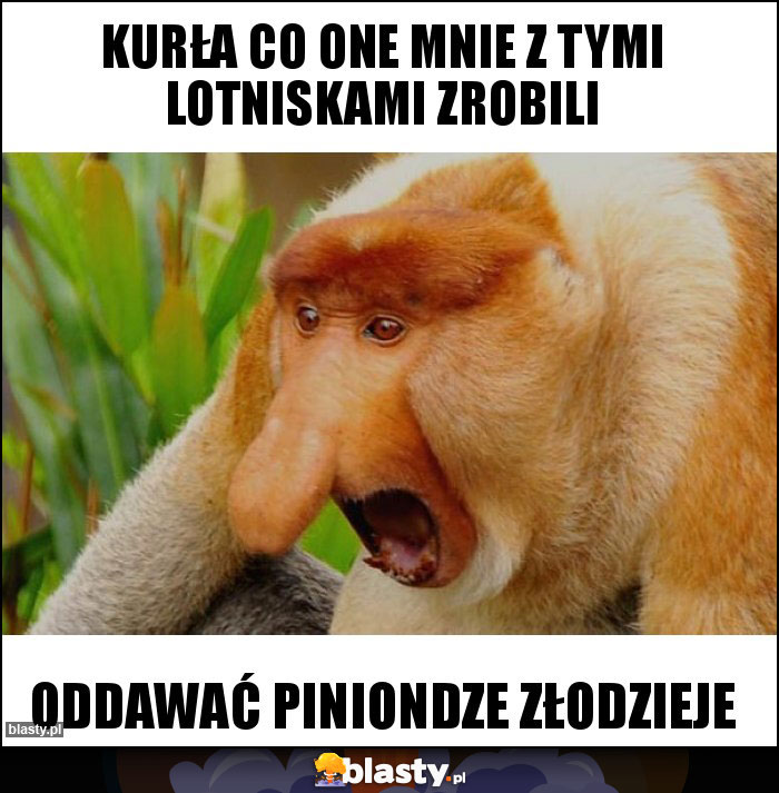 KURŁA CO ONE MNIE Z TYMI LOTNISKAMI ZROBILI KURŁA CO ONE MNIE Z TYMI LOTNISKAMI ZROBILI