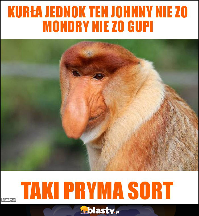 Kurła jednok ten Johnny nie zo mondry nie zo gupi Kurła jednok ten Johnny nie zo mondry nie zo gupi