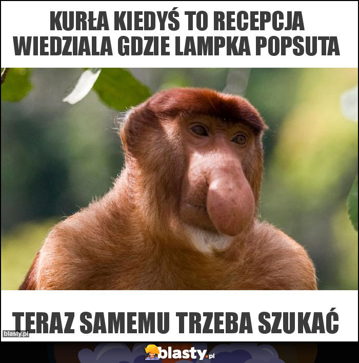 Kurła kiedyś to recepcja wiedziala gdzie lampka popsuta Kurła kiedyś to recepcja wiedziala gdzie lampka popsuta