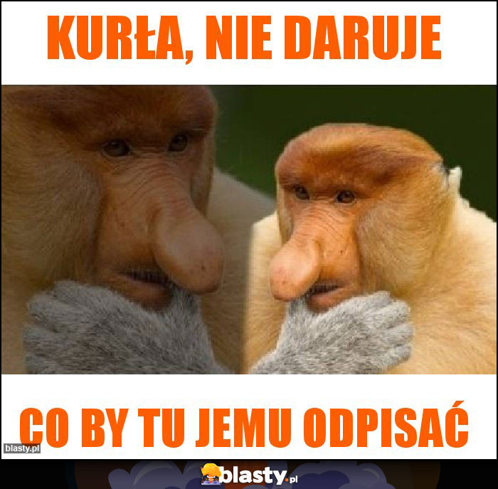 Kurła, nie daruje Kurła, nie daruje