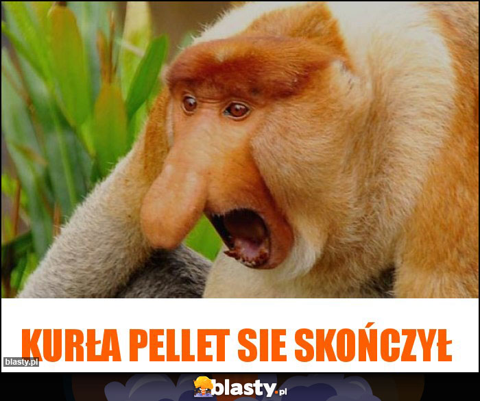 kurła pellet sie skończył kurła pellet sie skończył