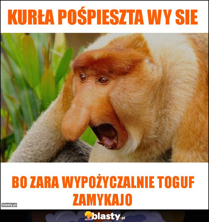 Kurła pośpieszta wy sie Kurła pośpieszta wy sie