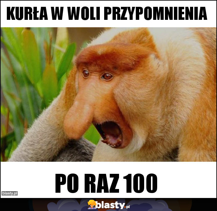 Kurła w woli przypomnienia Kurła w woli przypomnienia