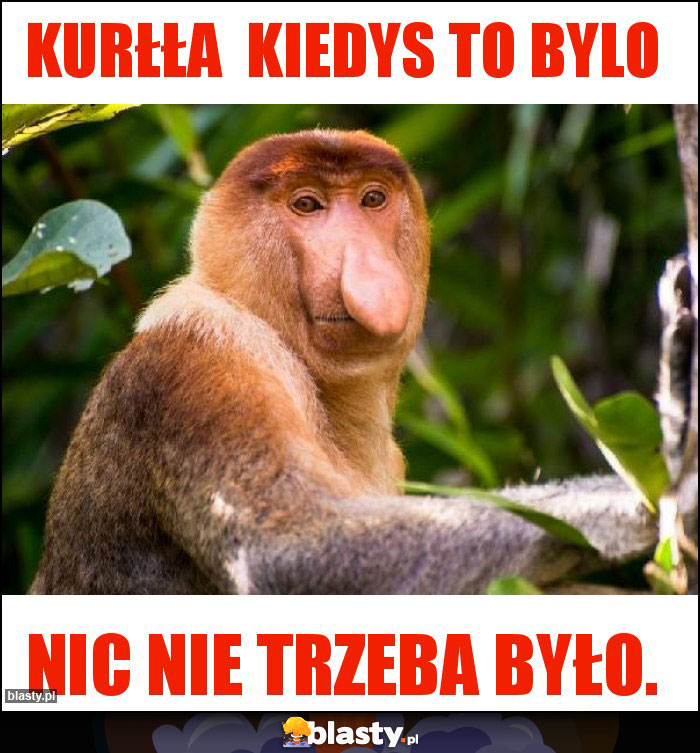 KURŁŁA KIEDYS TO BYLO KURŁŁA KIEDYS TO BYLO