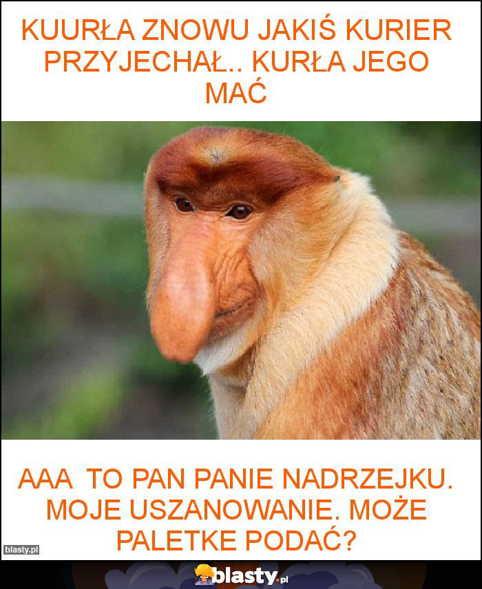 Kuurła znowu jakiś kurier przyjechał.. Kurła jego mać Kuurła znowu jakiś kurier przyjechał.. Kurła jego mać