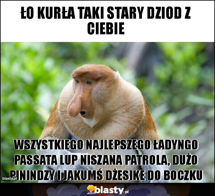 ŁO kurła taki stary dziod z ciebie ŁO kurła taki stary dziod z ciebie