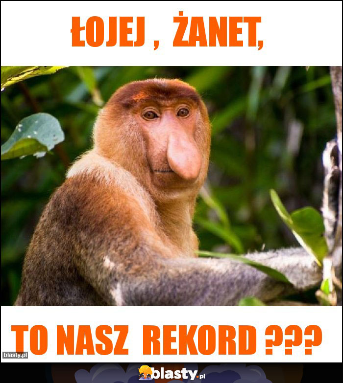 ŁOJEJ , ŻANET, ŁOJEJ , ŻANET,