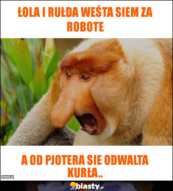 ŁOLA I RUŁDA WEŚTA SIEM ZA ROBOTE ŁOLA I RUŁDA WEŚTA SIEM ZA ROBOTE