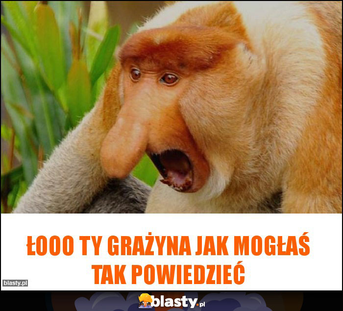 Łooo Ty Grażyna jak mogłaś tak powiedzieć Łooo Ty Grażyna jak mogłaś tak powiedzieć