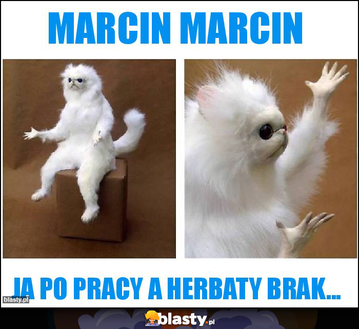 Marcin Marcin Marcin Marcin