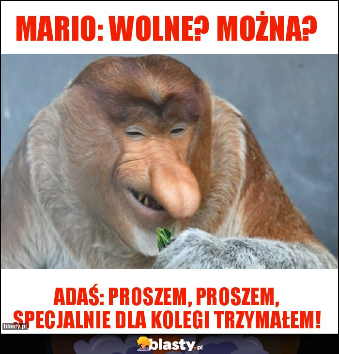 Mario: Wolne? Można? Mario: Wolne? Można?