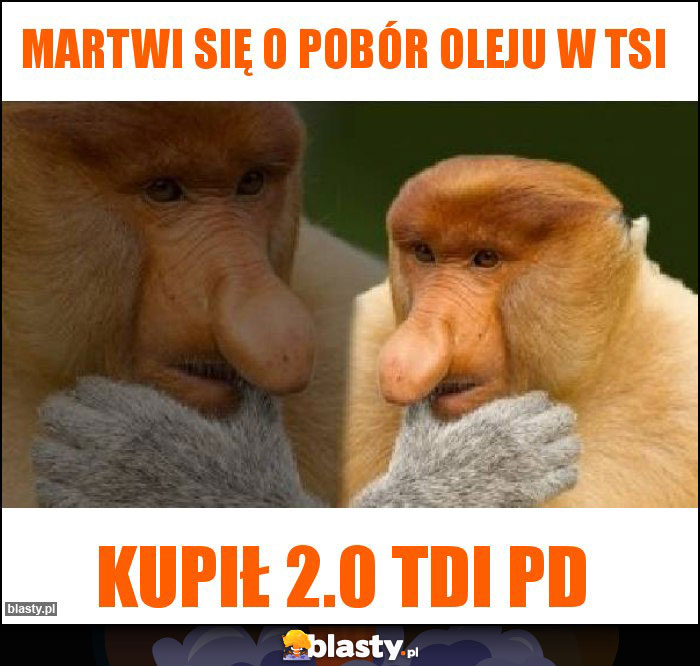 MARTWI SIĘ O POBÓR OLEJU W TSI MARTWI SIĘ O POBÓR OLEJU W TSI