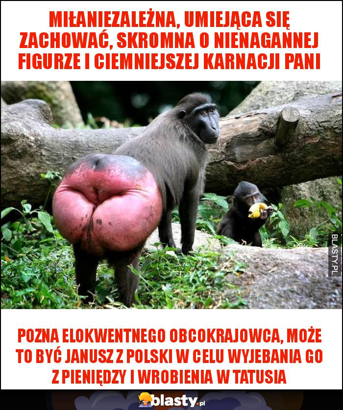 miłaniezależna, umiejąca się zachować, skromna o nienagannej figurze i ciemniejszej karnacji pani miłaniezależna, umiejąca się zachować, skromna o nienagannej figurze i ciemniejszej karnacji pani