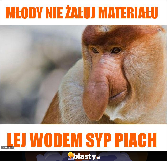 Młody nie żałuj materiału Młody nie żałuj materiału