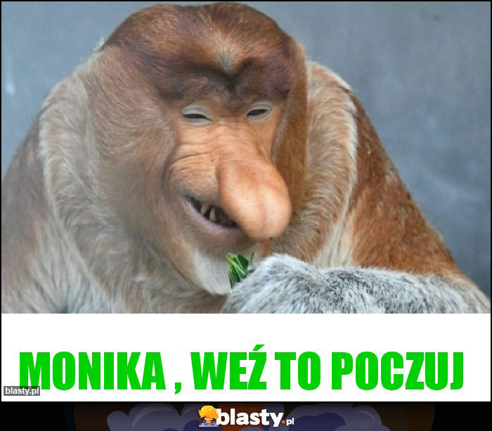 Monika , weź to poczuj Monika , weź to poczuj