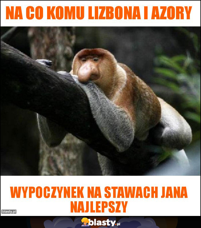 Na co komu Lizbona i Azory Na co komu Lizbona i Azory