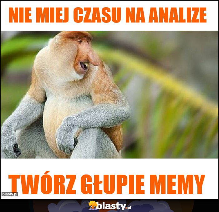 Nie miej czasu na analize Nie miej czasu na analize