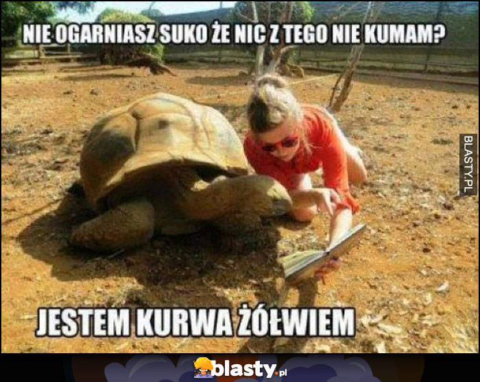 Nie ogarniasz suko, że nic z tego nie kumam? Jestem kurna żółwiem