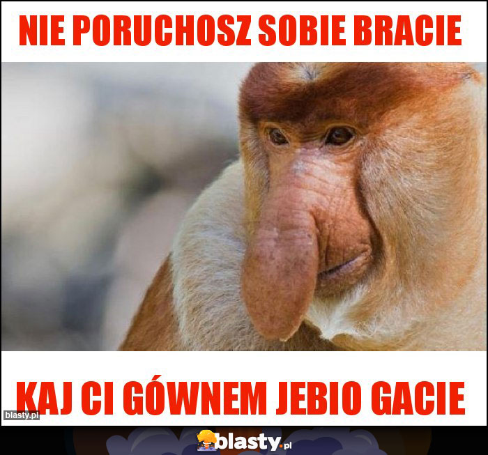 Nie poruchosz sobie bracie Nie poruchosz sobie bracie