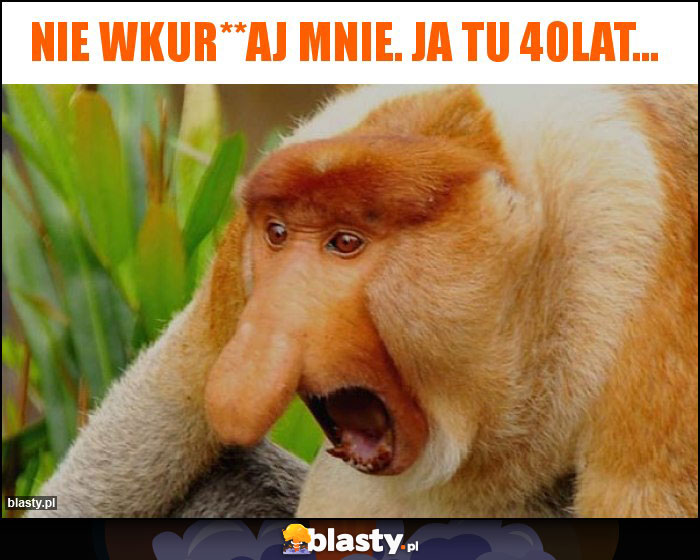 Nie wkur**aj mnie. Ja tu 40lat... Nie wkur**aj mnie. Ja tu 40lat...
