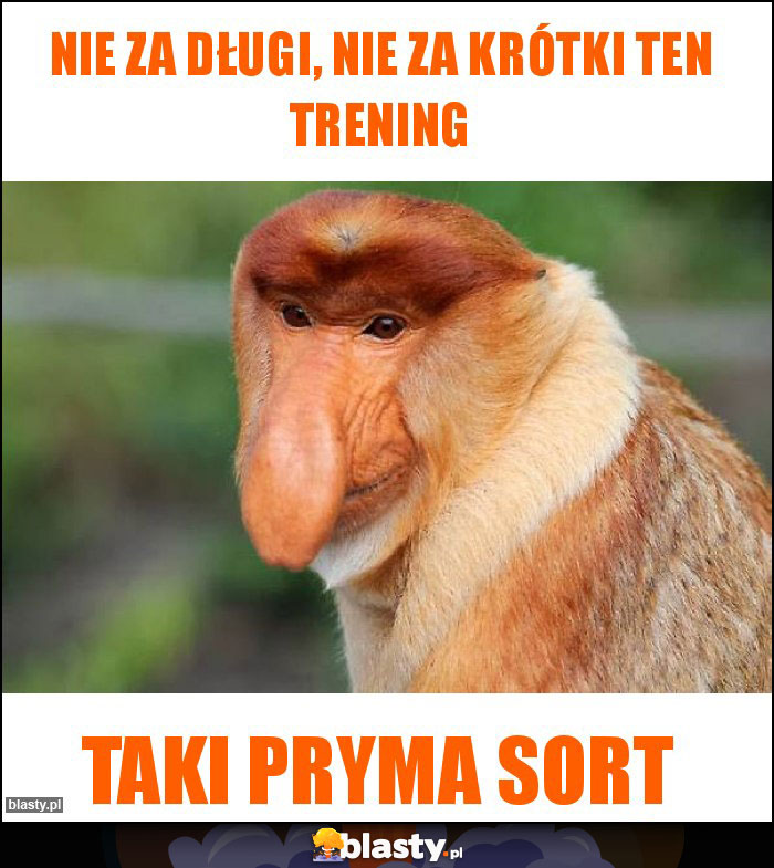 Nie za długi, nie za krótki ten trening Nie za długi, nie za krótki ten trening