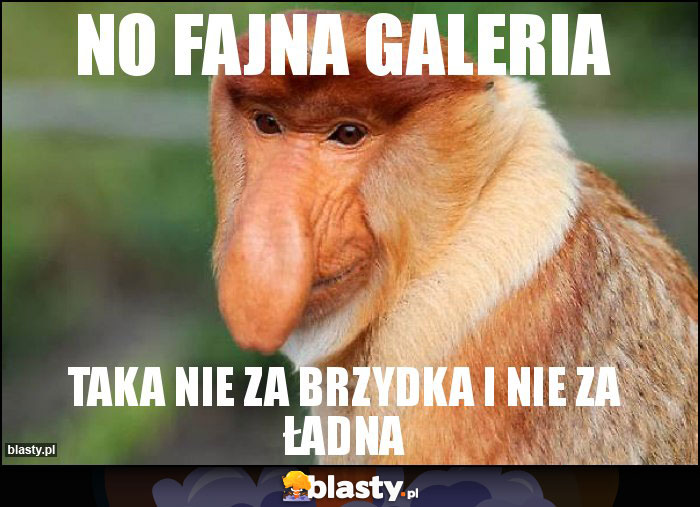 No fajna galeria