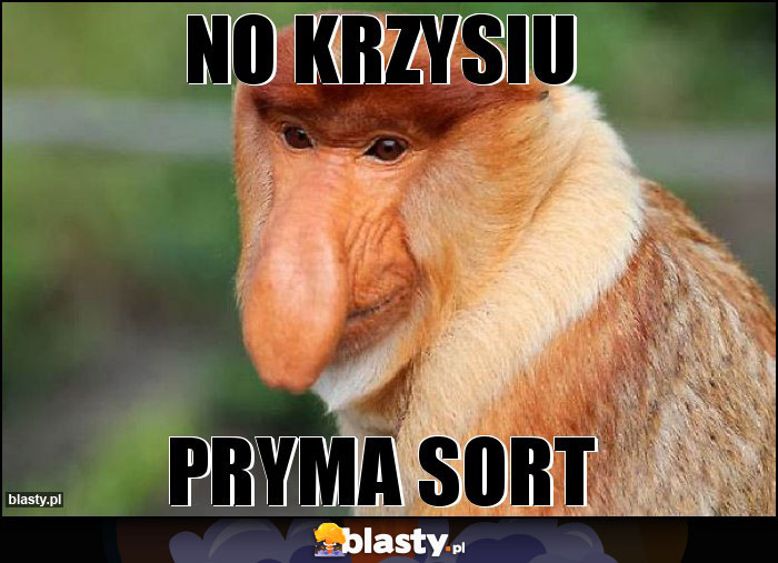 no krzysiu no krzysiu