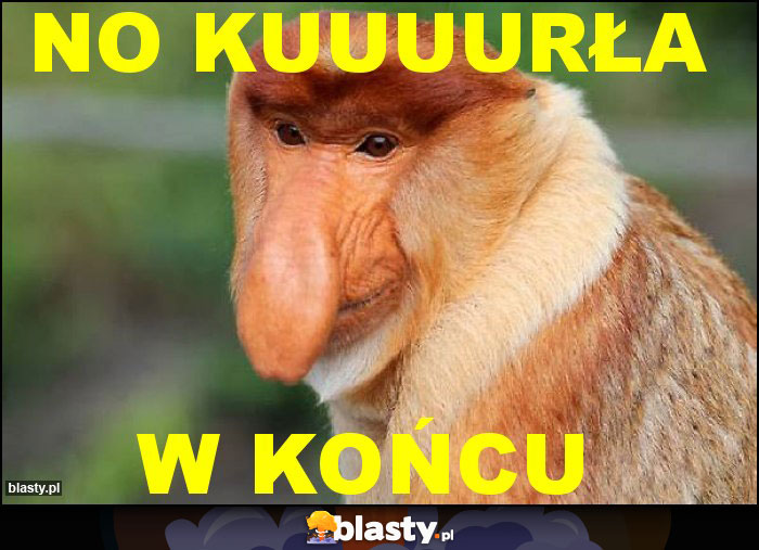 No kuuuurła No kuuuurła