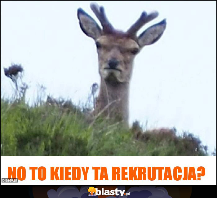 No to kiedy ta rekrutacja? No to kiedy ta rekrutacja?