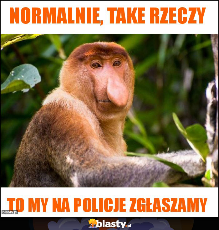 Normalnie, take rzeczy Normalnie, take rzeczy