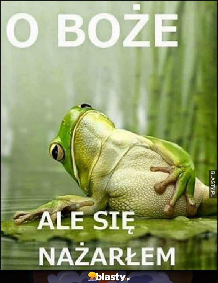 O boże ale się nażarłem żaba