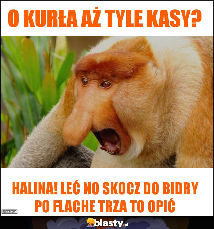 O Kurła aż tyle kasy? O Kurła aż tyle kasy?