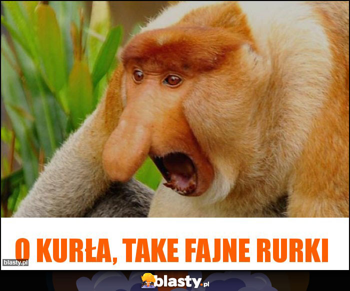 O kurła, take fajne rurki O kurła, take fajne rurki