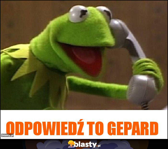 Odpowiedź to GEPARD Odpowiedź to GEPARD