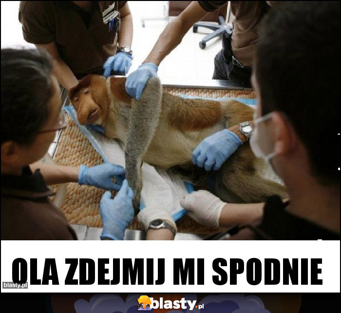 Ola zdejmij mi spodnie Ola zdejmij mi spodnie