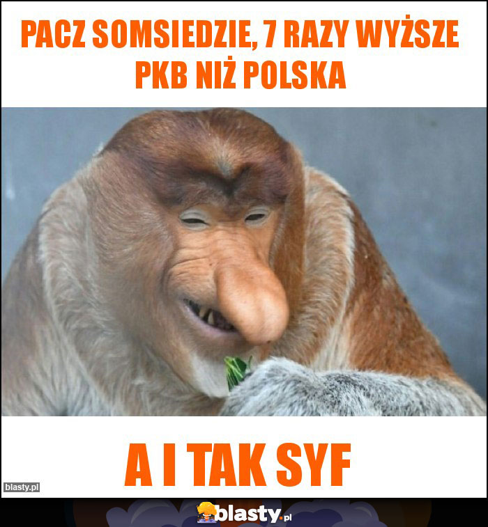 Pacz somsiedzie, 7 razy wyższe PKB niż Polska Pacz somsiedzie, 7 razy wyższe PKB niż Polska