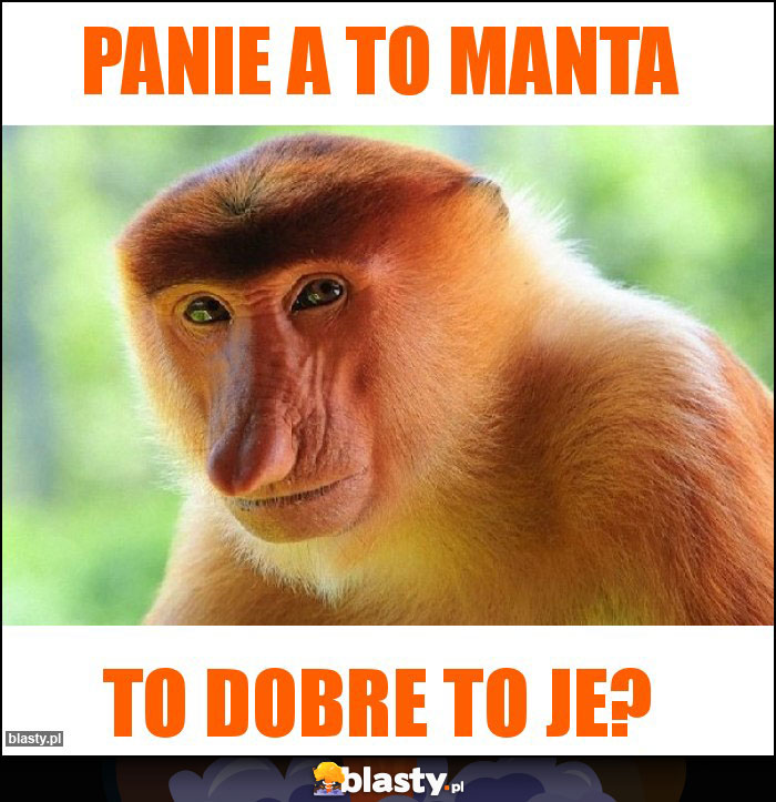 Panie a to Manta Panie a to Manta
