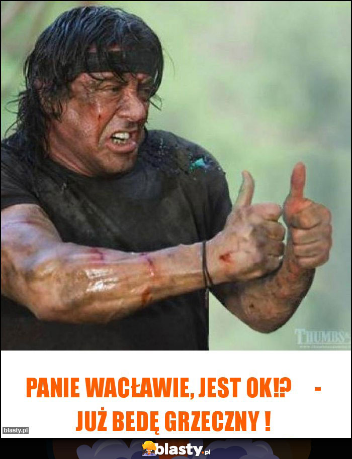 Panie Wacławie, jest OK!? - już bedę grzeczny ! Panie Wacławie, jest OK!? - już bedę grzeczny !