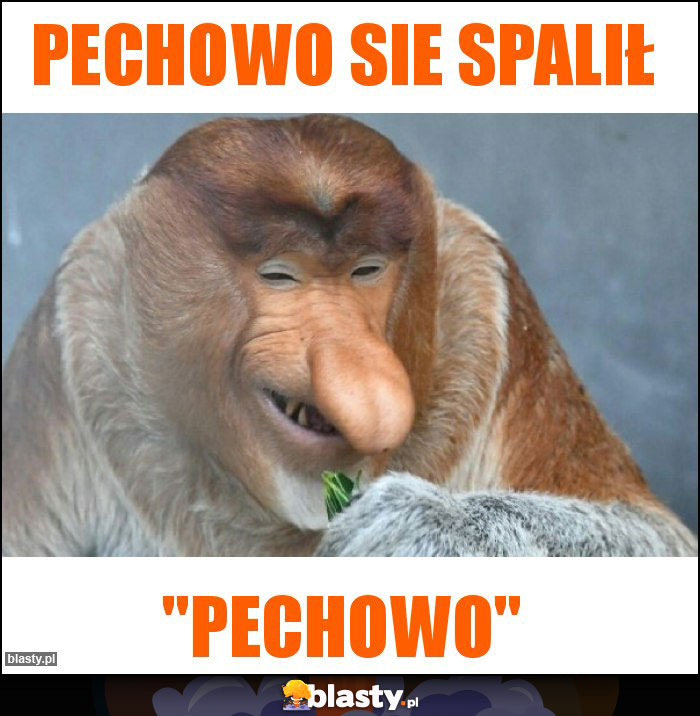 Pechowo sie spalił Pechowo sie spalił