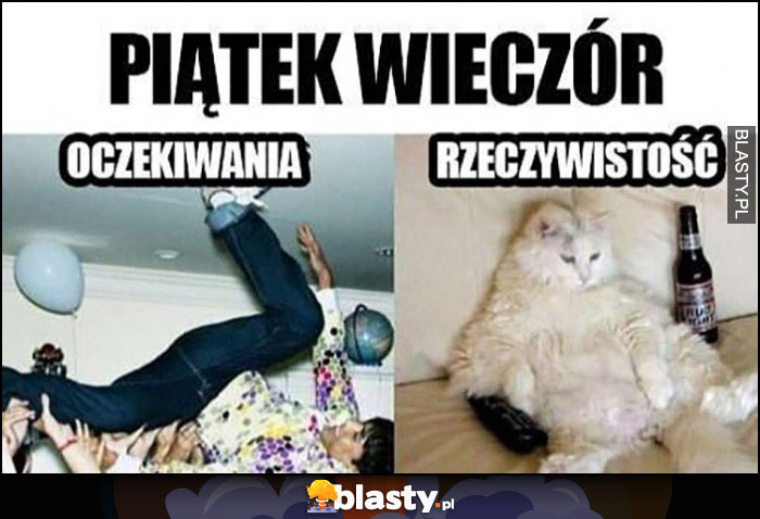 Piątek wieczór oczekiwania impreza rzeczywistość kot na kanapie przed telewizorem