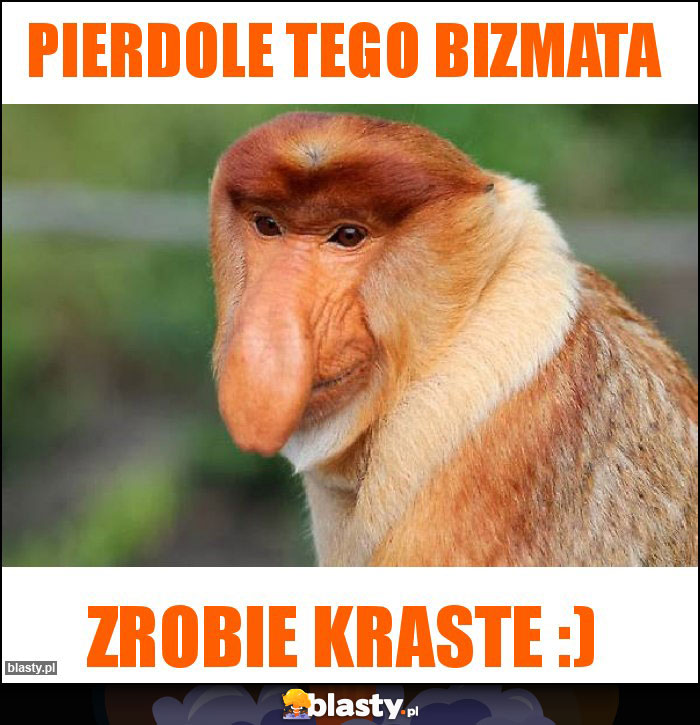 Pierdole tego bizmata Pierdole tego bizmata