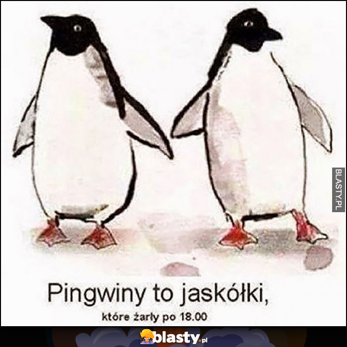 Pingwiny to jaskółki które żarły po 18:00