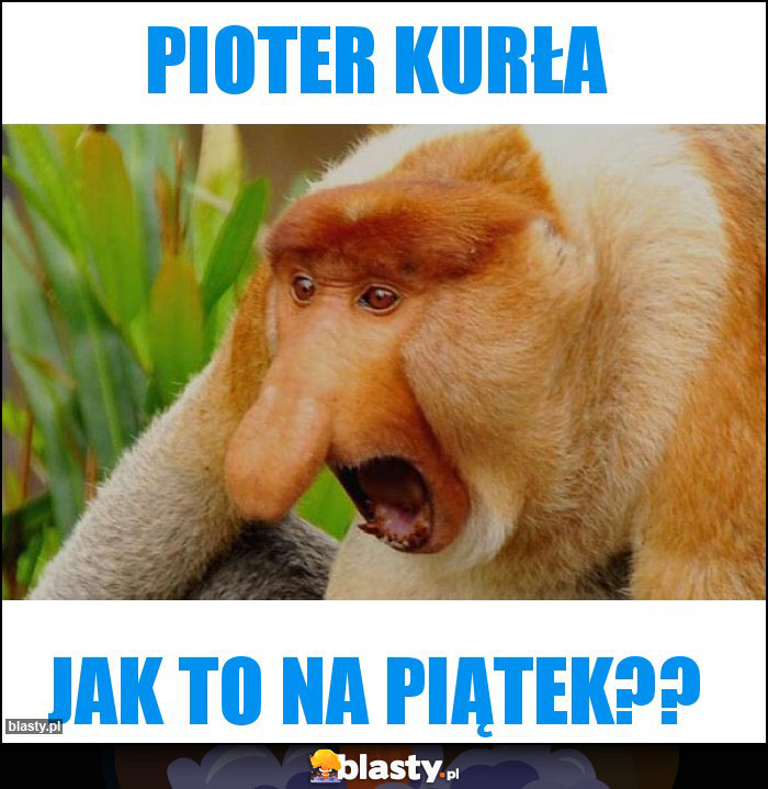 PIOTER KURŁA PIOTER KURŁA