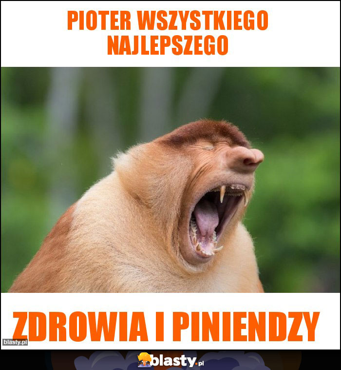 Pioter wszystkiego najlepszego Pioter wszystkiego najlepszego