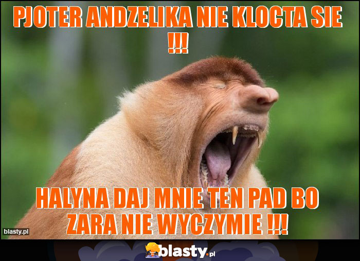 Pjoter andzelika nie klocta sie !!! Pjoter andzelika nie klocta sie !!!