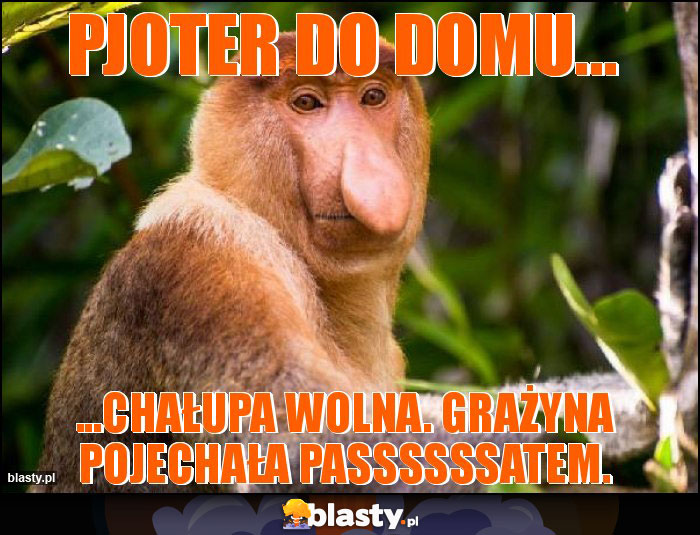 Pjoter do domu... Pjoter do domu...